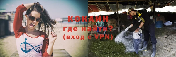 шишки Гусев