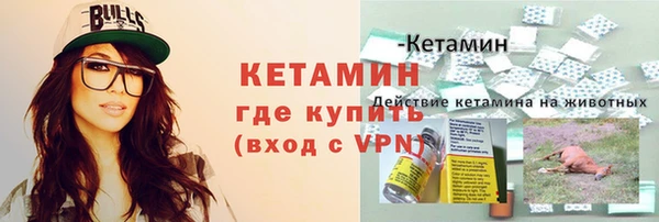 шишки Гусев