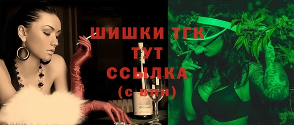 шишки Гусев