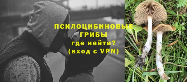прущая мука Гусь-Хрустальный
