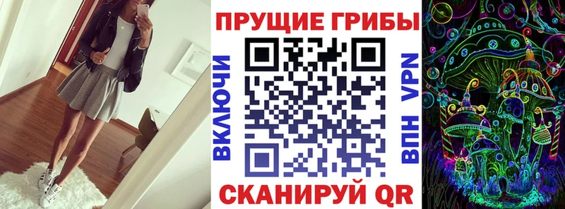Галлюциногенные грибы мицелий  Купить закладки  Киреевск 